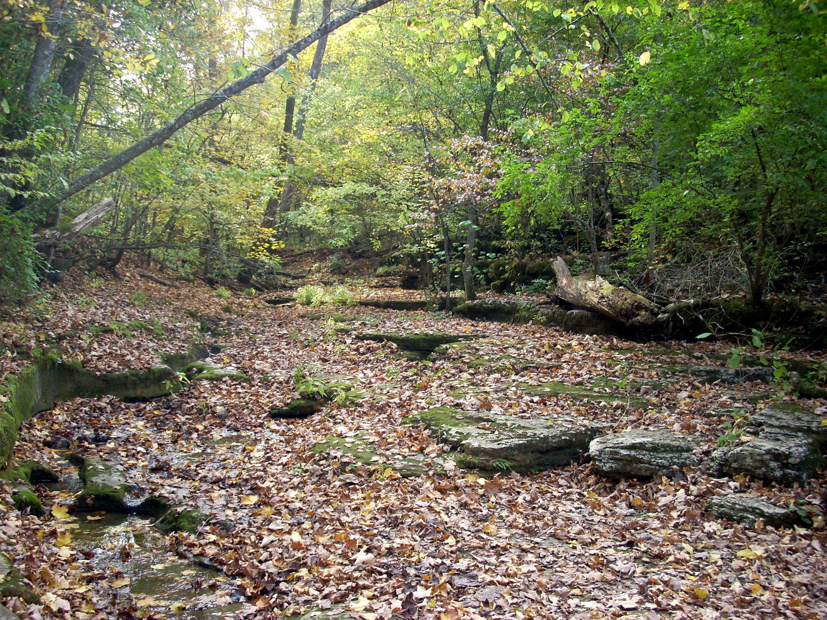 Raven Run Hiking Red Trail